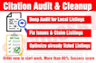 do citation audit and cleanup