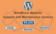 do wordpress maintenance and provide support