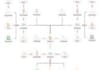 senuke your site using Full Monty, Two Tiered, Best Seo Gig