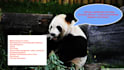 be your chinese virtual assistant web search date entry market app test in china
