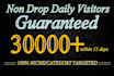 bring 30k targeted,quality traffic,visitors