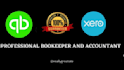 provide expert quickbooks online bookkeeping and netsuite accounting