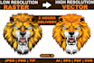 recreate your logo professionally