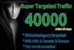 send professionally targeted 40k super web traffic