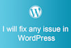 fix any bugs issues errors in wordpress