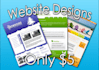 design a professional and unique website for you