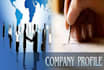 write a professional company profile