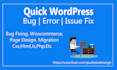 fix your wordpress website bugs, issues, and errors