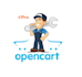 setup, customize or migrate your opencart ecommerce store