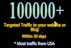 analyze and bring 100k niche targeted US website traffic