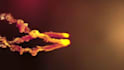 create an eyecatching particles smoke fire intro,outro 3d