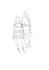 create beautiful fashion illustrations