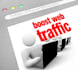 provide unlimited website TRAFFIC to your site