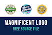 design magnificent logo for your website