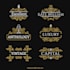 design luxury hotel logo within 24hrs