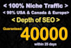 get 40k niche targeted seo friendly website traffic