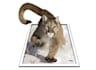 be your 3d poster flyer for business party invitation social