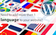 setup multi languages on your website