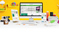 do wordpress website design or redesign and build business website