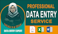 do excel data entry, copy paste and website data entry tasks