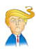 draw a political cartoon or caricature