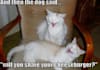 write a personalized joke just for you