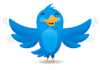 tweet your product,business,anything to my 9,000+ followers on twitter