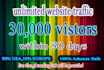 drive 30k unlimited website,traffic,visitors