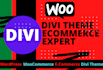build ecommerce website with divi theme and divi builder
