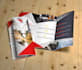 design your professional flyer or tri fold brochure