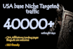 guarantee to bring 40k niche targeted,usa website traffic