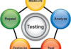 test your website and give valuable feedback