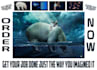do photoshop retouching, enhancement, and composites