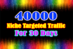 drive 40k niche targeted website traffic,visitors
