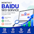 provide monthly baidu SEO for chinese website ranking growth