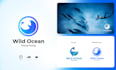 do complete logo design, redesign, or rebranding and website