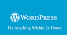 install wordpress and customize wp plugins and themes