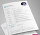do professional CV, resume design