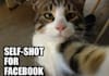 create 20 positive comments on your Facebook wall