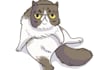 draw your super cool CAT