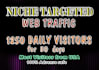 drive niche targeted website traffic 1250 daily for 30 days