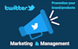 do twitter marketing and promotion with organic growth