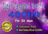 guarantee to provide 40k super targeted website traffic