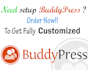 give solution buddypress issue