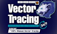 do professional vector tracing, logo recreation, or image to vector conversion