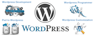 help you with any wordpress jobs