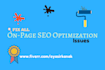 do the complete onpage SEO optimization of your website