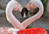 give you an itenerary for a mind-blowing, 'oh-my-god, you're amazing' first date
