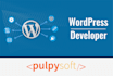 develop wordpress website and plugin, PHP codeigniter, laravel, core