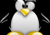 help you install programs in Linux